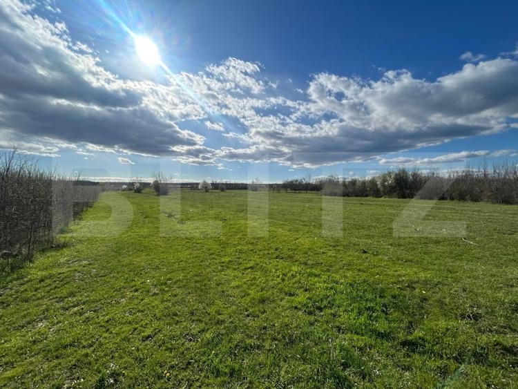 Teren Construcții intravilan de 2000 mp, în Râncăciov