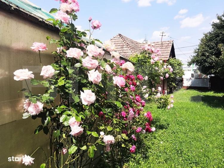 Casă cu 4 camere cu Teren 15277 Mp în Central