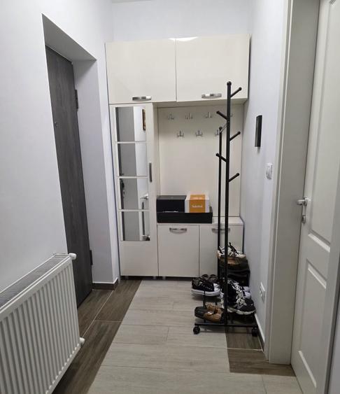 Apartament cu 2 camere semidecomandat în Vișan