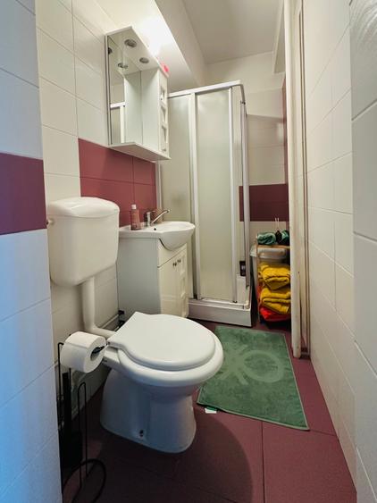 Apartament luminos Floreasca - 12
