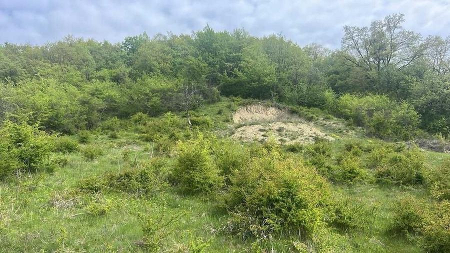 Teren de 1000 mp, în Corunca