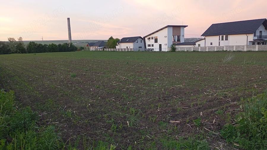 Teren de 500 mp, în Lisaura