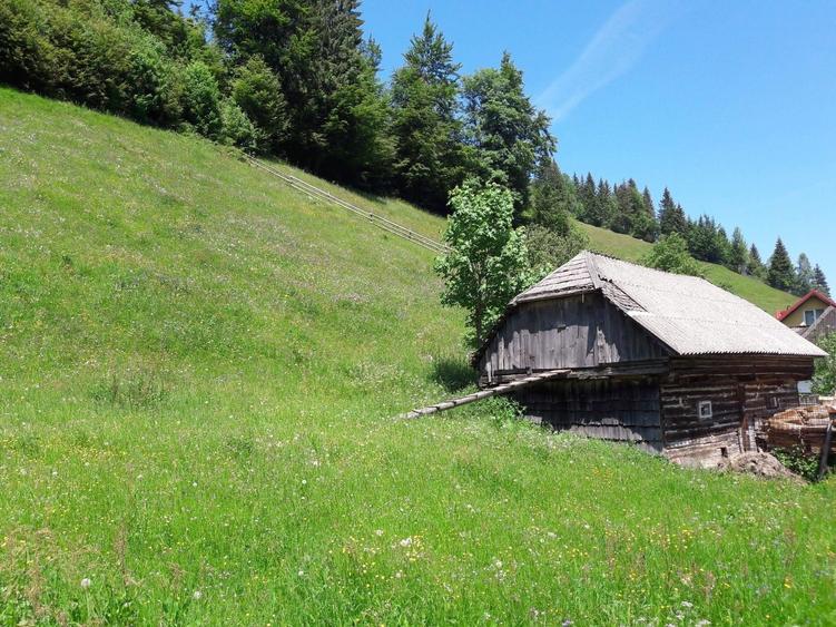 Teren de 4890 mp, în Moieciu