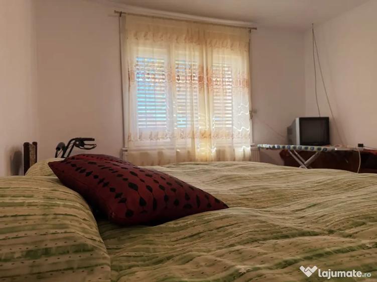 Casă cu 3 camere cu Teren 1245 Mp în Șag