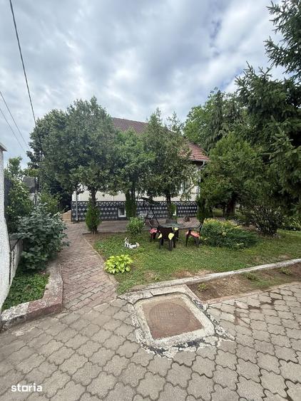 Doua case pe teren de 3.000 mp, Strada Botizului OMV, Satu Mare - 16