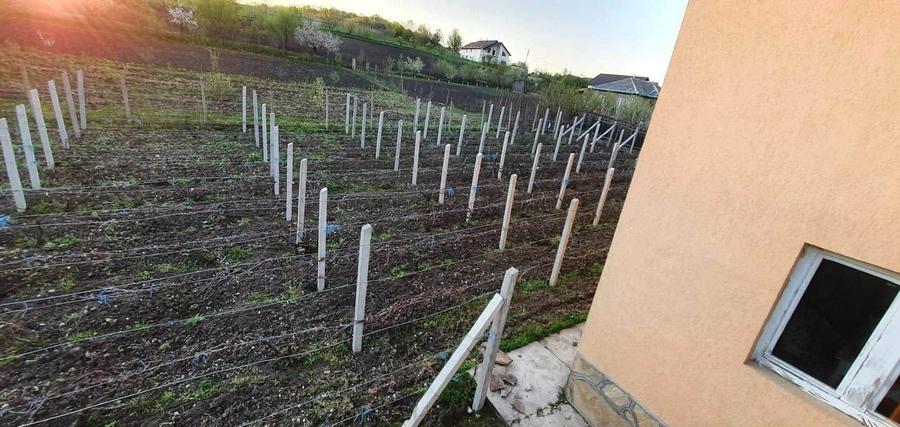 Casă cu 4 camere în Pârcovaci