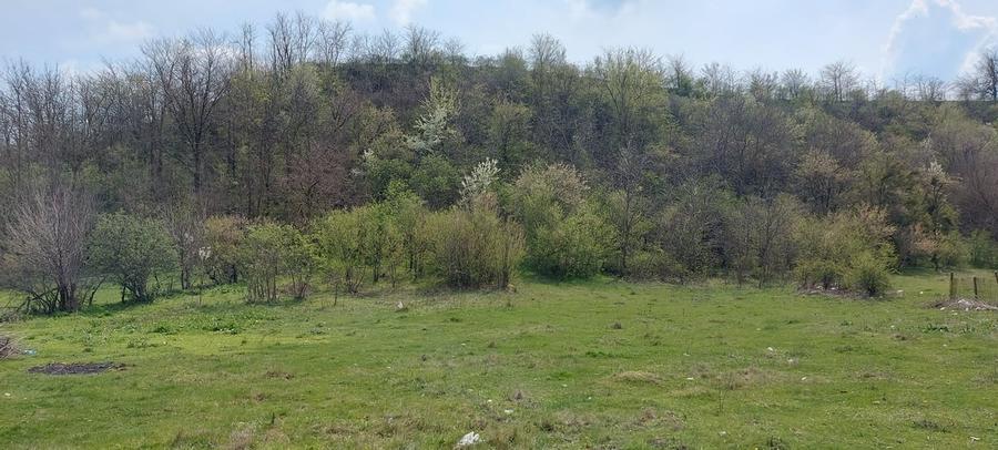 Teren în Central