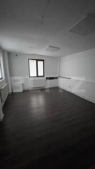 Birou, de 376 mp, în Frații Golești
