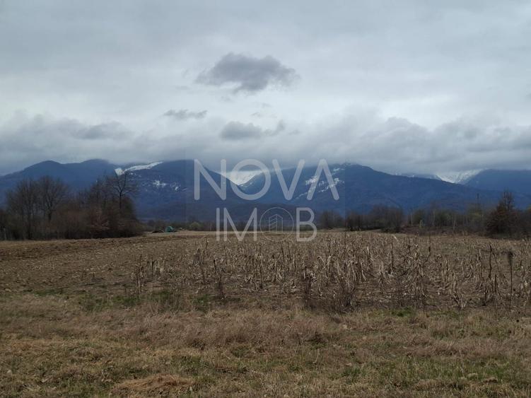 Teren agricol extravilan de 2100 mp, în Arpașu de Sus