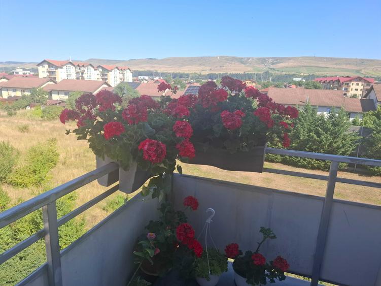 Apartament cu 2 camere decomandat în Florești