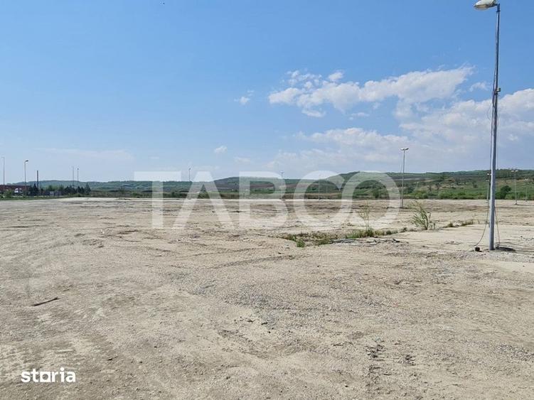 Teren de 40000 mp, în Teiu