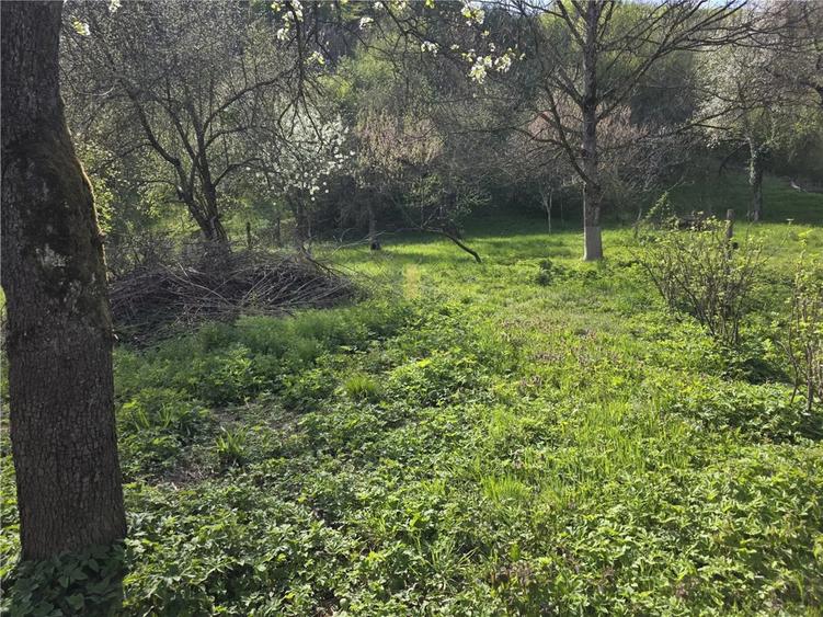 Casa cu teren generos in zona turistica de munte ,Nadrag,Timis - 9