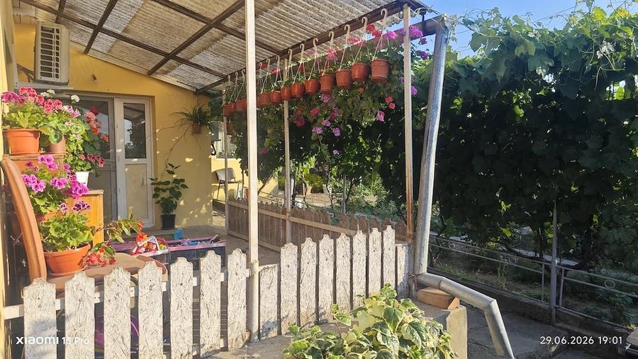 Casă cu 3 camere cu Teren 2400 Mp în Central