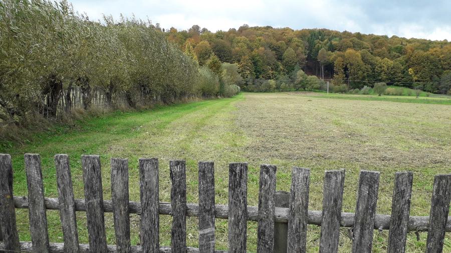 Teren de 1808 mp, în Buzăiel