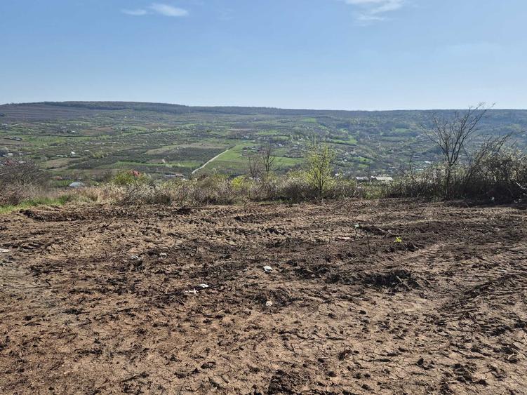 Teren de 3000 mp, în Tomești