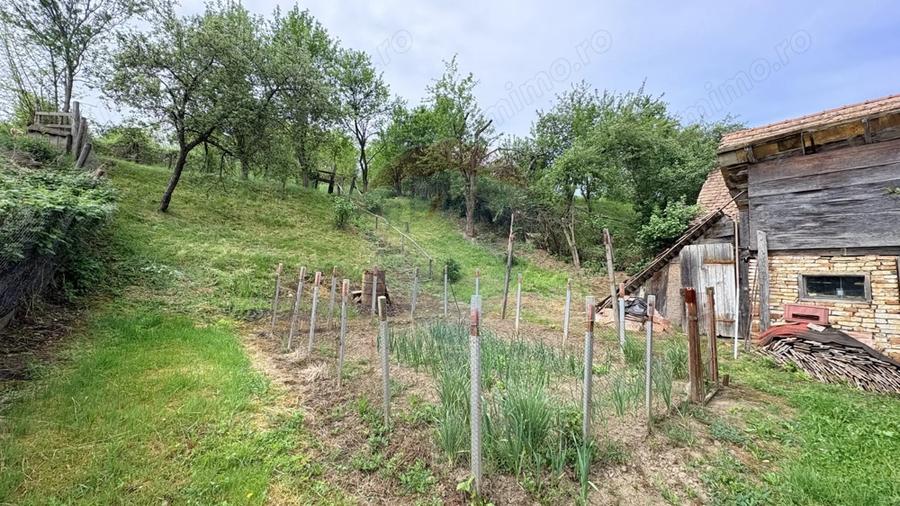 Casă cu 1 camere cu Teren 360 Mp în Richiș
