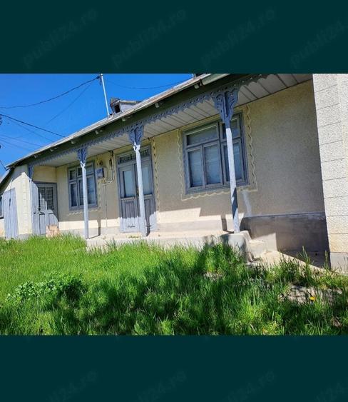 Casă cu Teren 6000 Mp în Pleșa