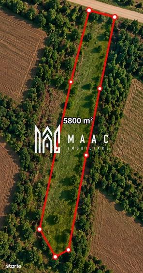 Teren de 5800 mp, în Roșia