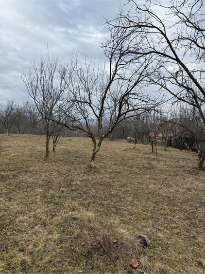 Teren de 4000 mp, în Ștubeiu