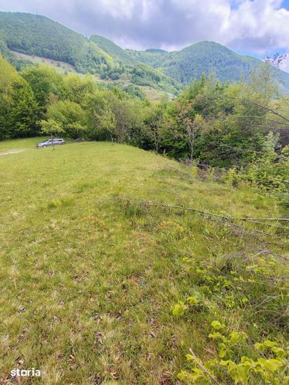 Teren de 1087 mp, în Bulz