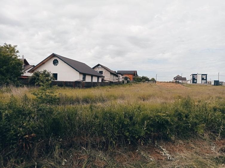 Teren agricol intravilan de 1193 mp, în Bradu