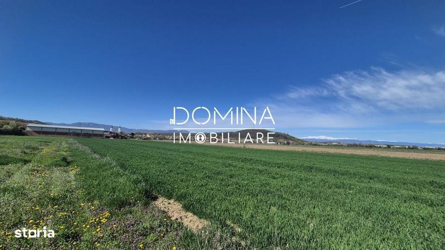 Spațiu comercial, în Tămășești