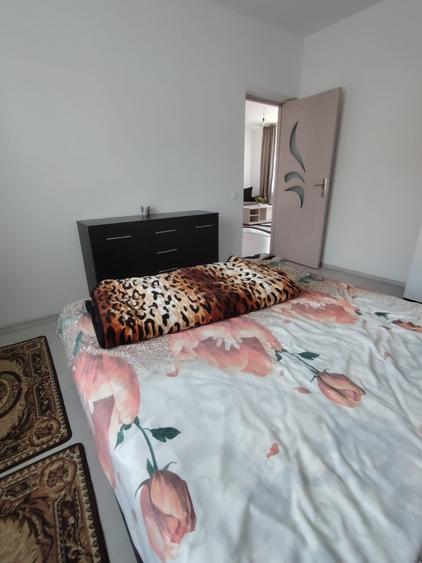 Inchiriere Apartament 3 camere semidecomandat, 63 mp, Sesu de Sus - 9