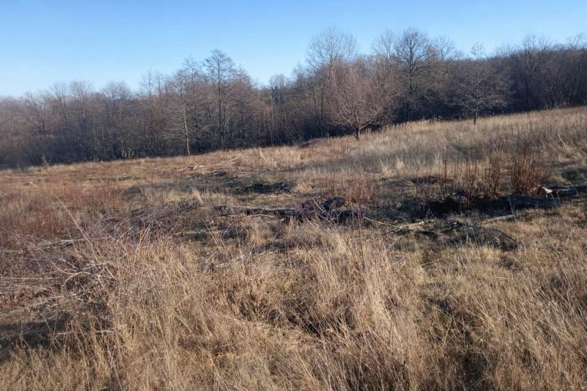 Teren Construcții extravilan de 5000 mp, în Vicovu de Jos