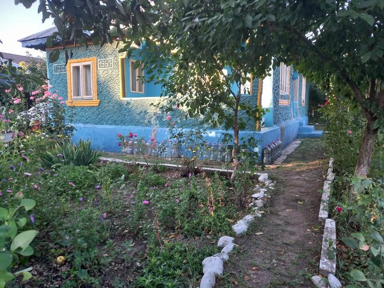 Casă individuală cu 4 camere cu Teren 3590 Mp în Colceag