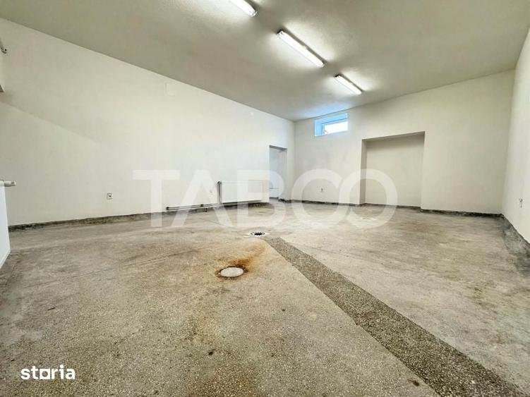 Spațiu comercial, de 387 mp, în Terezian