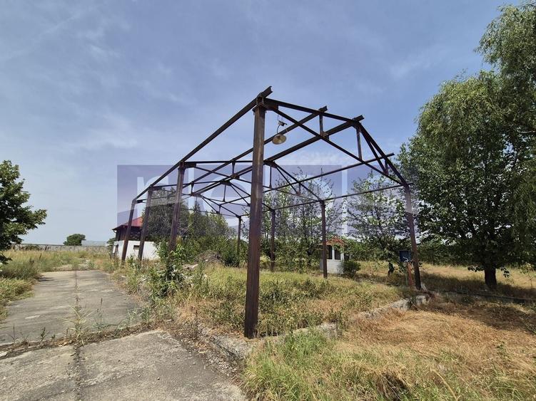 Teren Construcții intravilan de 35510 mp, în Belciugatele