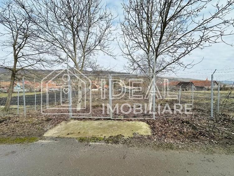 Teren Construcții intravilan de 1334 mp, în Alămor