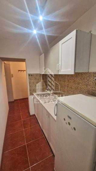 Apartament cu 2 camere semidecomandat, mobilat în Șagului