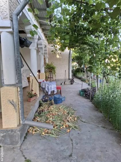 Casă cu 3 camere cu Teren 650 Mp în Sfântu Gheorghe