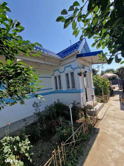De vanzare casa batraneasca in Horia, teren de 700mp, 3 anexe, 55000e - 9
