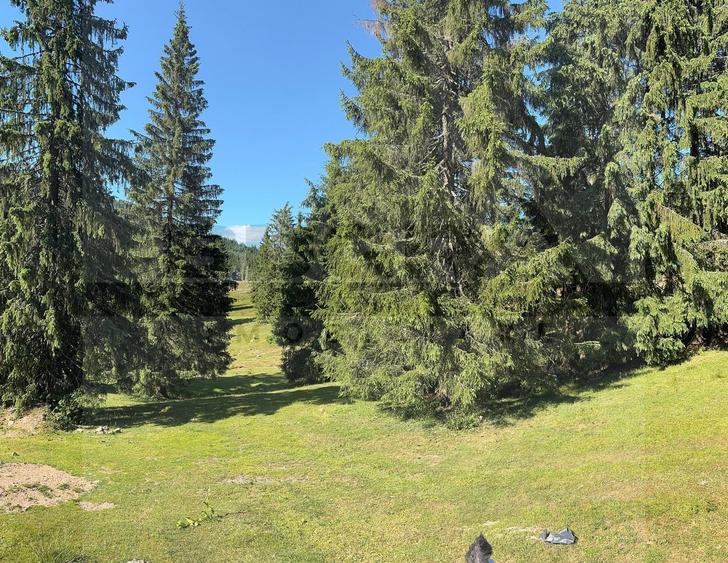 Teren Construcții intravilan de 250 mp, în Arieșeni