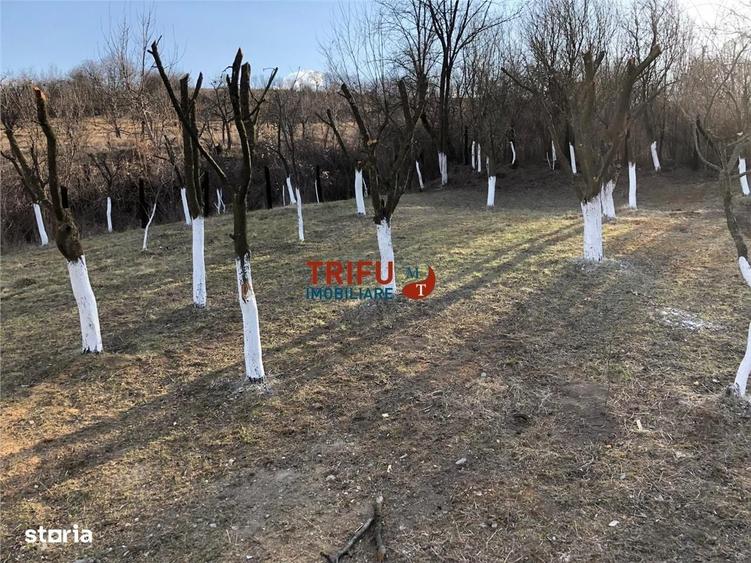 Casă cu 4 camere în Cricău