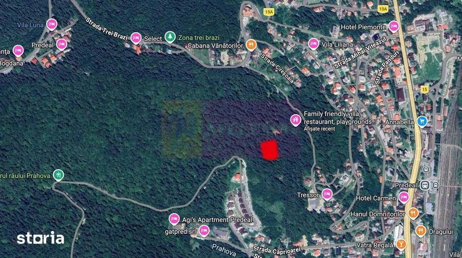 Teren de vanzare in Predeal - 2