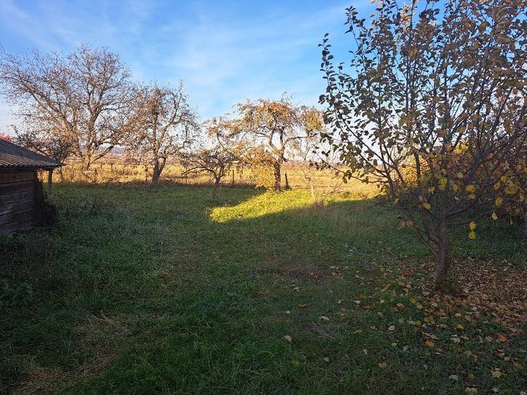 Casă individuală cu 2 camere cu Teren 4700 Mp în Capu Câmpului