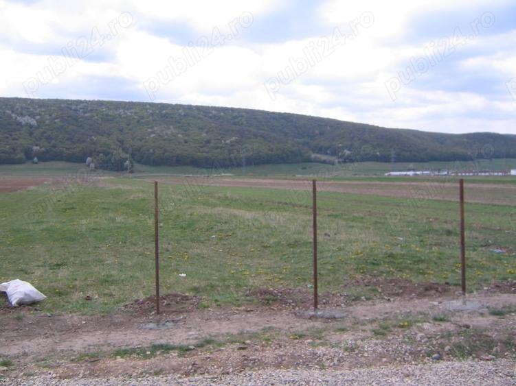 Teren de 5000 mp, în Central
