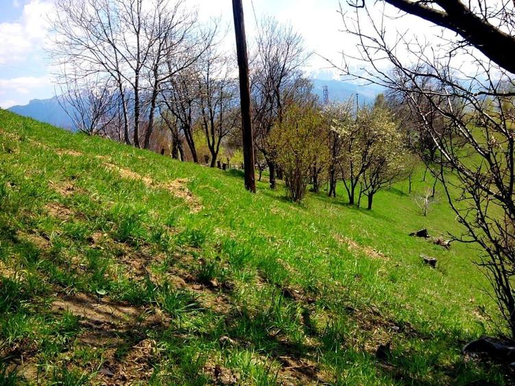 Teren Construcții intravilan de 14000 mp, în Bran
