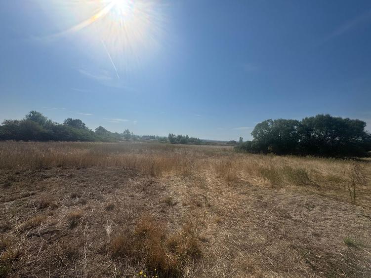 Teren intravilan 5755mp Fughiu, Zona Podgoria - 2