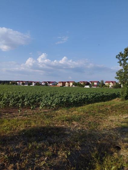 Teren Construcții intravilan de 5000 mp, în Balotești