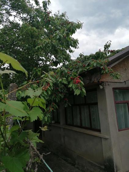 Casă cu 4 camere cu Teren 1000 Mp în Zorești