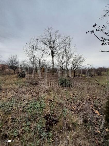 Teren intravilan pentru constructii de vanzare in Paleu, Oradea - 2