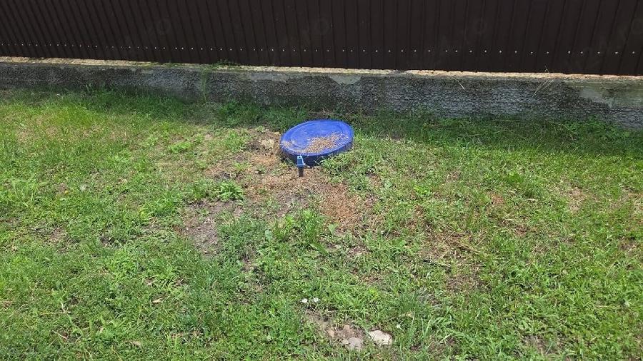 Teren de 2000 mp, în Găgeni