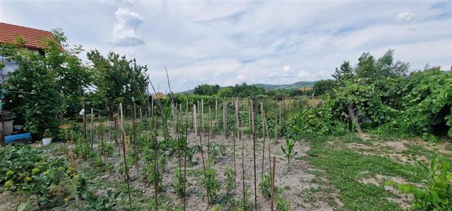 Casă individuală cu 6 camere cu Canalizare în Brebu