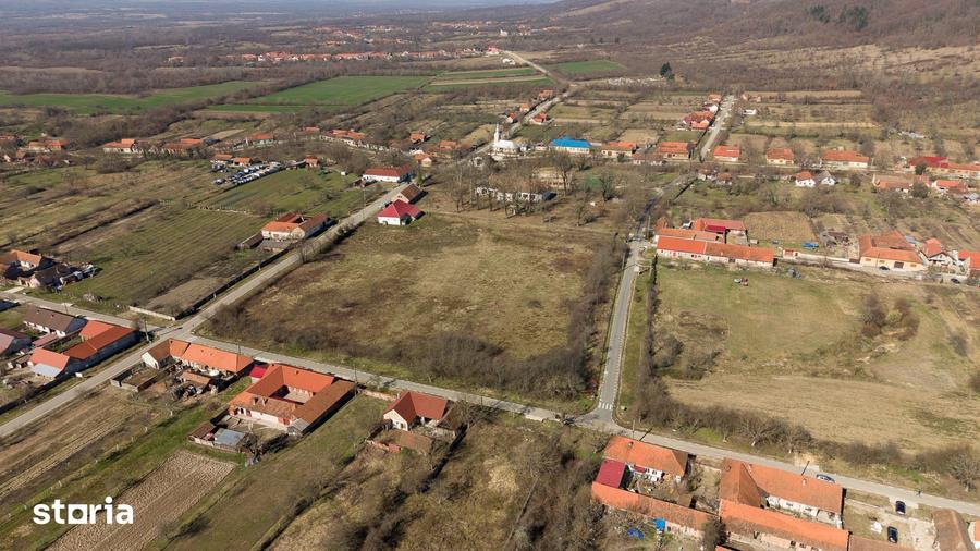 Casă cu 8 camere cu Teren 7235 Mp în Traian Vuia