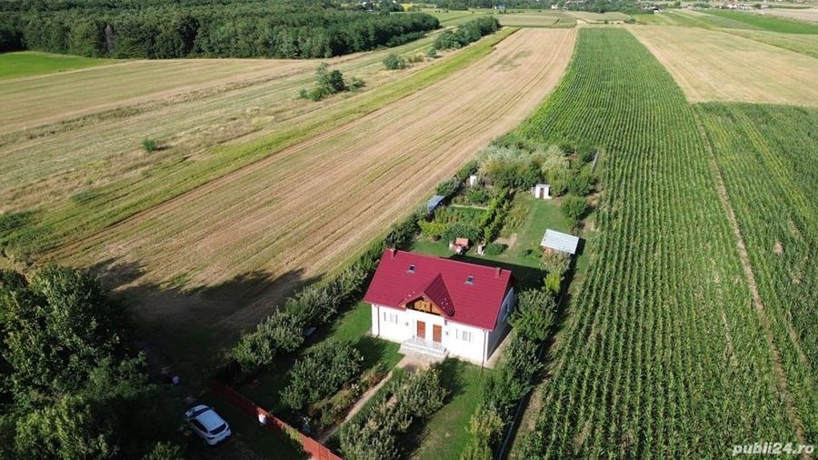Teren de 11000 mp, în Lăceni