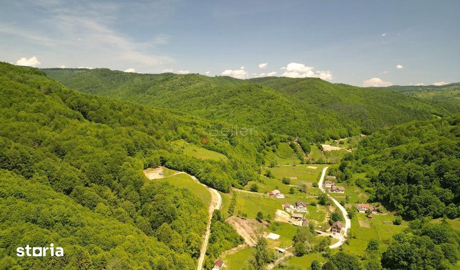 Teren de 16000 mp, în Holbav